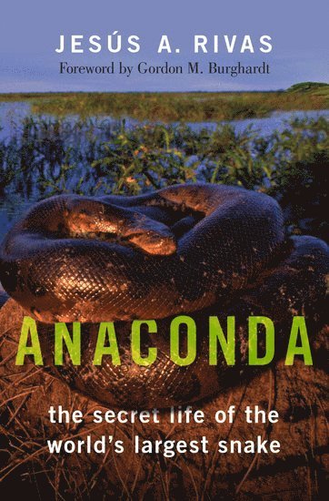 bokomslag Anaconda