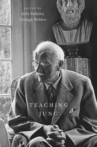 bokomslag Teaching Jung