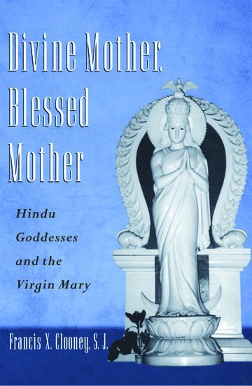 bokomslag Divine Mother, Blessed Mother