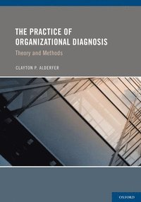 bokomslag The Practice of Organizational Diagnosis