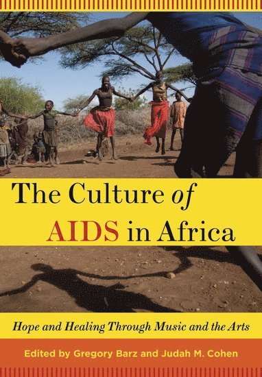 bokomslag Culture of AIDS in Africa