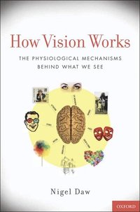 bokomslag How Vision Works