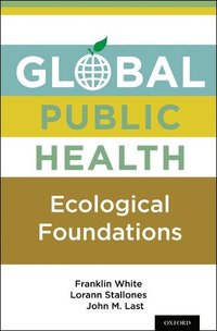 bokomslag Global Public Health