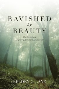 bokomslag Ravished by Beauty