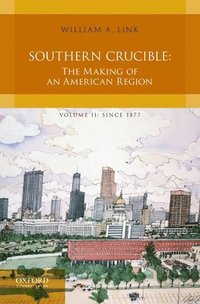 bokomslag Southern Crucible: The Making of an American Region, Volume II: Since 1877