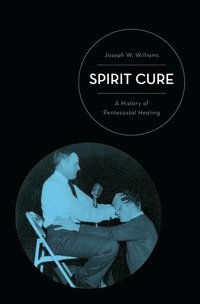 bokomslag Spirit Cure