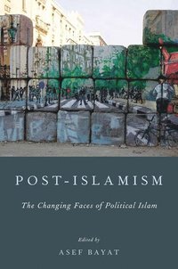 bokomslag Post-Islamism: The Many Faces of Political Islam