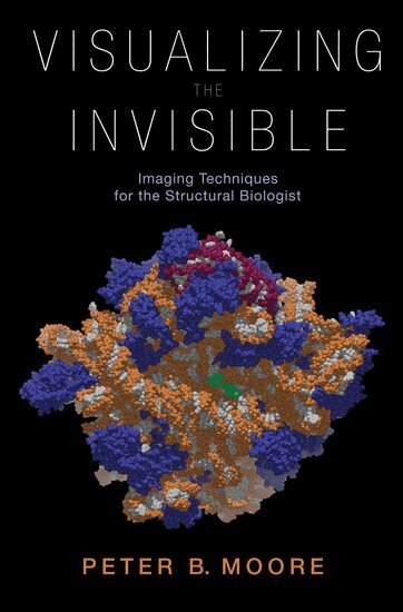 Peter Moore - Visualizing the Invisible, Inbunden