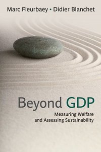bokomslag Beyond GDP