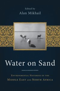 bokomslag Water on Sand