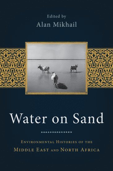 Alan Mikhail, Yale University) Mikhail, Alan (Assistant Professor of History, Assistant Professor of History - Water on Sand, Häftad
