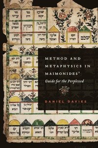 bokomslag Method and Metaphysics in Maimonides' Guide for the Perplexed