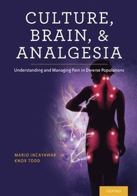 bokomslag Culture, Brain, and Analgesia