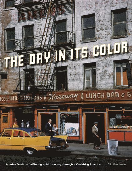 The Day in Its Color 1