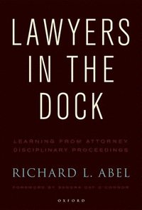 bokomslag Lawyers in the Dock