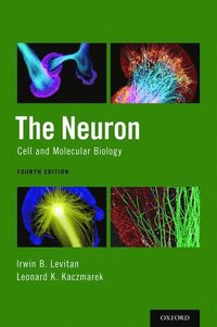 bokomslag The Neuron