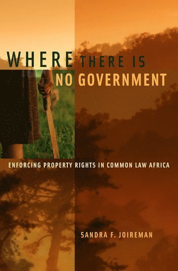 Where There is No Government 1