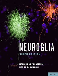 bokomslag Neuroglia