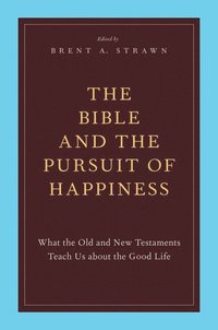 bokomslag The Bible and the Pursuit of Happiness