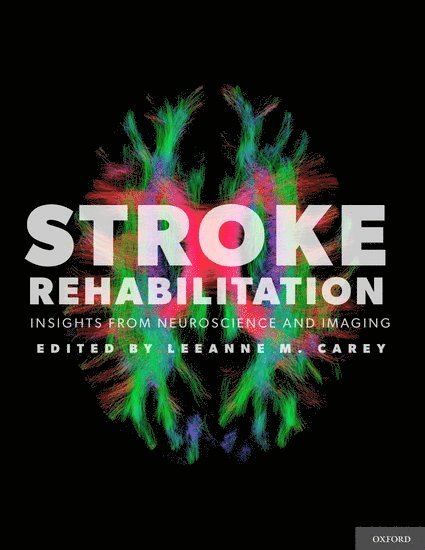 Leeanne M. Carey - Stroke Rehabilitation, Inbunden