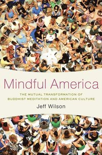 bokomslag Mindful America