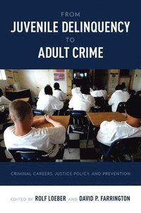 bokomslag From Juvenile Delinquency to Adult Crime
