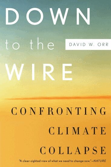 David W. Orr - Down to the Wire, Häftad