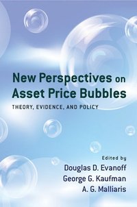 bokomslag New Perspectives on Asset Price Bubbles