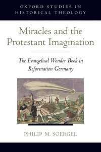 bokomslag Miracles and the Protestant Imagination