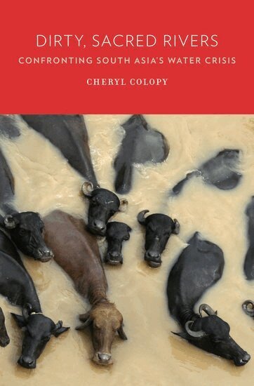Cheryl Colopy - Dirty, Sacred Rivers, Inbunden