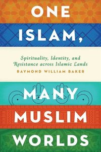bokomslag One Islam, Many Muslim Worlds