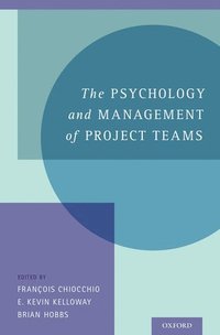bokomslag The Psychology and Management of Project Teams