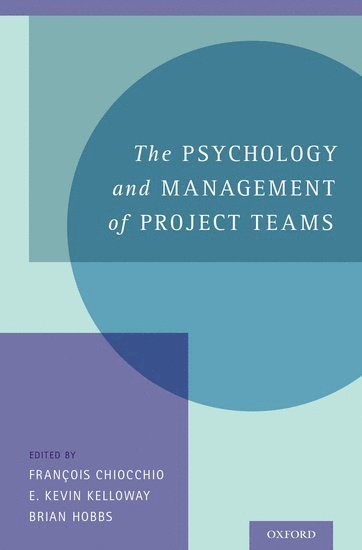 bokomslag The Psychology and Management of Project Teams