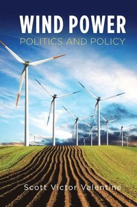 bokomslag Wind Power Politics and Policy
