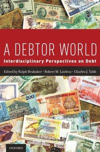 bokomslag A Debtor World