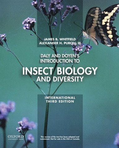 bokomslag Daly and Doyen's Introduction to Insect Biology and Diversity