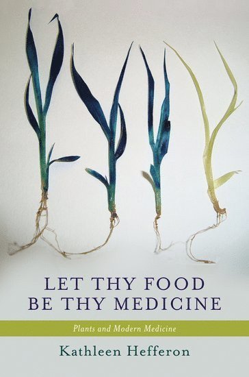 Let Thy Food Be Thy Medicine 1