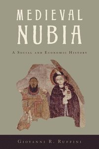 bokomslag Medieval Nubia