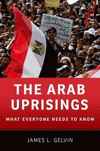 bokomslag The Arab Uprisings: What Everyone Needs to Know