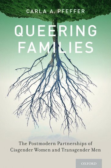 Carla A. Pfeffer, University of South Carolina) Pfeffer, Carla A. (Assistant Professor of Sociology and Women's and Gender Studies, Assistant Professor of Sociology and Women's and Gender Studies - Queering Families, Häftad
