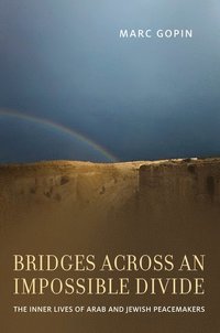 bokomslag Bridges across an Impossible Divide