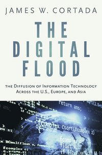 bokomslag The Digital Flood