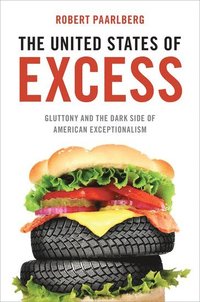 bokomslag The United States of Excess