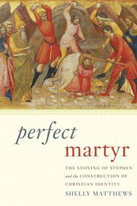 bokomslag Perfect Martyr
