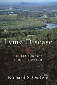 bokomslag Lyme Disease