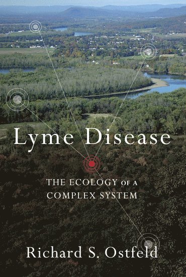 bokomslag Lyme Disease