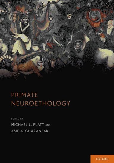 bokomslag Primate Neuroethology