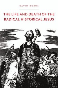 bokomslag The Life and Death of the Radical Historical Jesus
