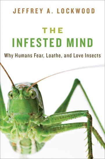 bokomslag Infested Mind