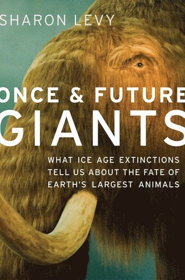 Once and Future Giants 1